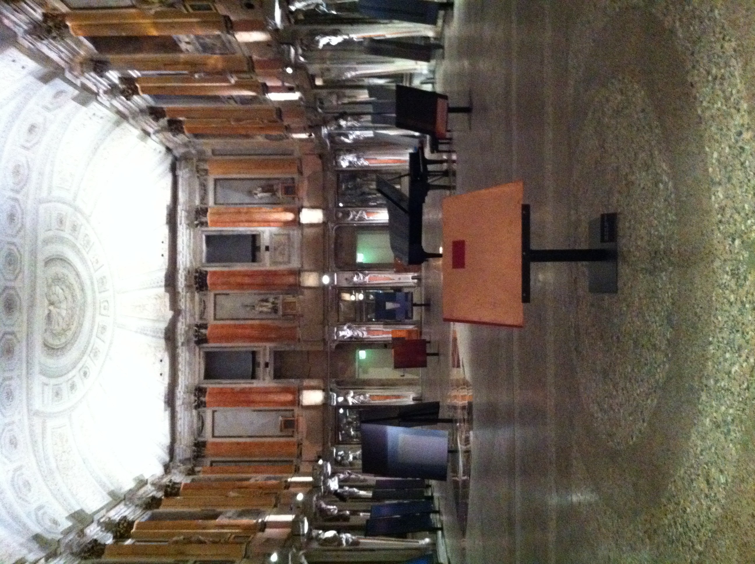 Tutti pazzi per Artemisia photo-8