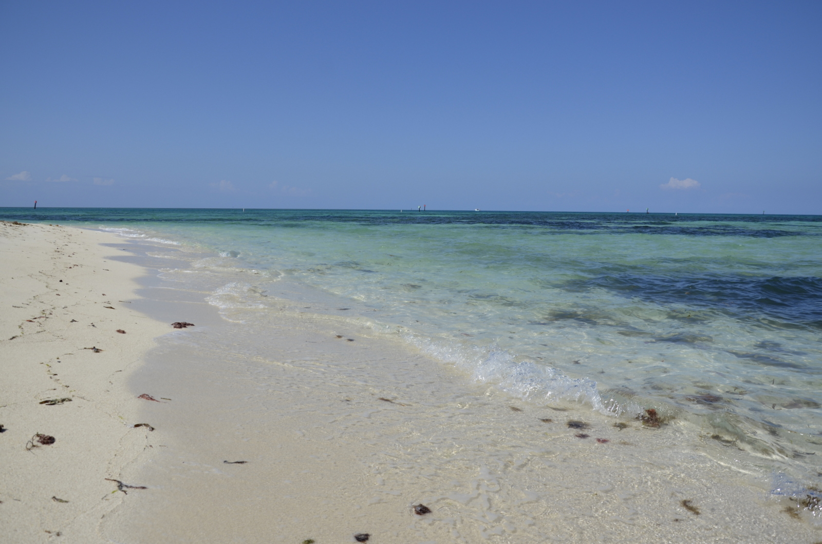 Dry Tortugas